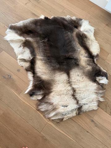 Rendiervacht uit Lapland beschikbaar voor biedingen