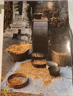 Poster: Parc naturel d'Adamello (Italie), Verzamelen, Ophalen, Zo goed als nieuw, Dier of Natuur