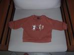 trui maat 68, Kinderen en Baby's, Babykleding | Maat 68, Ophalen of Verzenden, Zo goed als nieuw, Jongetje, Truitje of Vestje