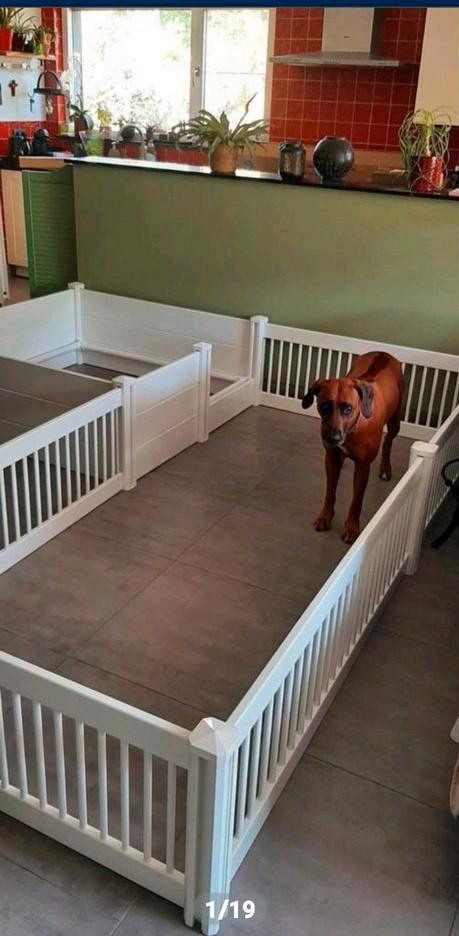 WERPKIST TOPMAST+UITLOOPREN ***** TOP AANBIEDING TE HUUR, Dieren en Toebehoren, Hondenbenches, Zo goed als nieuw, Ophalen of Verzenden