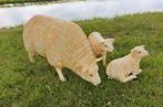 Tuinbeelden Texelse schapen, Tuin en Terras, Tuinbeelden, Ophalen, Nieuw, Kunststof, Dierenbeeld
