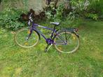 Vélo VTC Scott 26 pouces, Ophalen, Gebruikt, 20 inch of meer, Scott