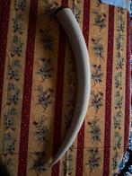 Invoor tand, Ophalen, Zo goed als nieuw, Dier