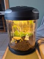 Compleet aquarium., Animaux & Accessoires, Enlèvement