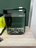 Superfish home 25 L aquarium, Ophalen, Zo goed als nieuw