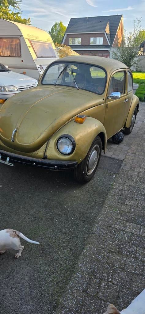 Amerikaanse kever, Particulier, Te koop