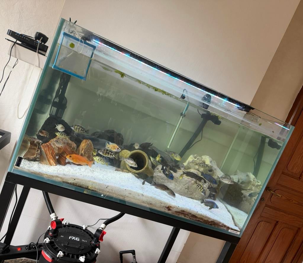 Aquarium 400l, Ophalen, Verwarming, Zo goed als nieuw, Leeg aquarium
