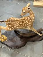 Te koop top stuk taxidermie bambie damhertje, Ophalen