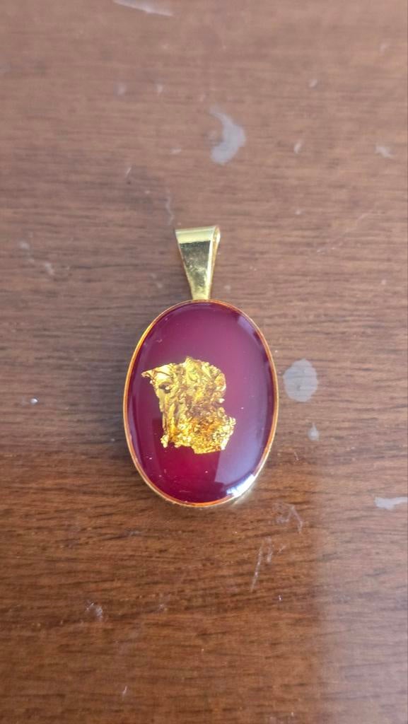 Mooie antiek hanger ketting met stuk goud, Handtassen en Accessoires, Ophalen of Verzenden, Goud, Goud