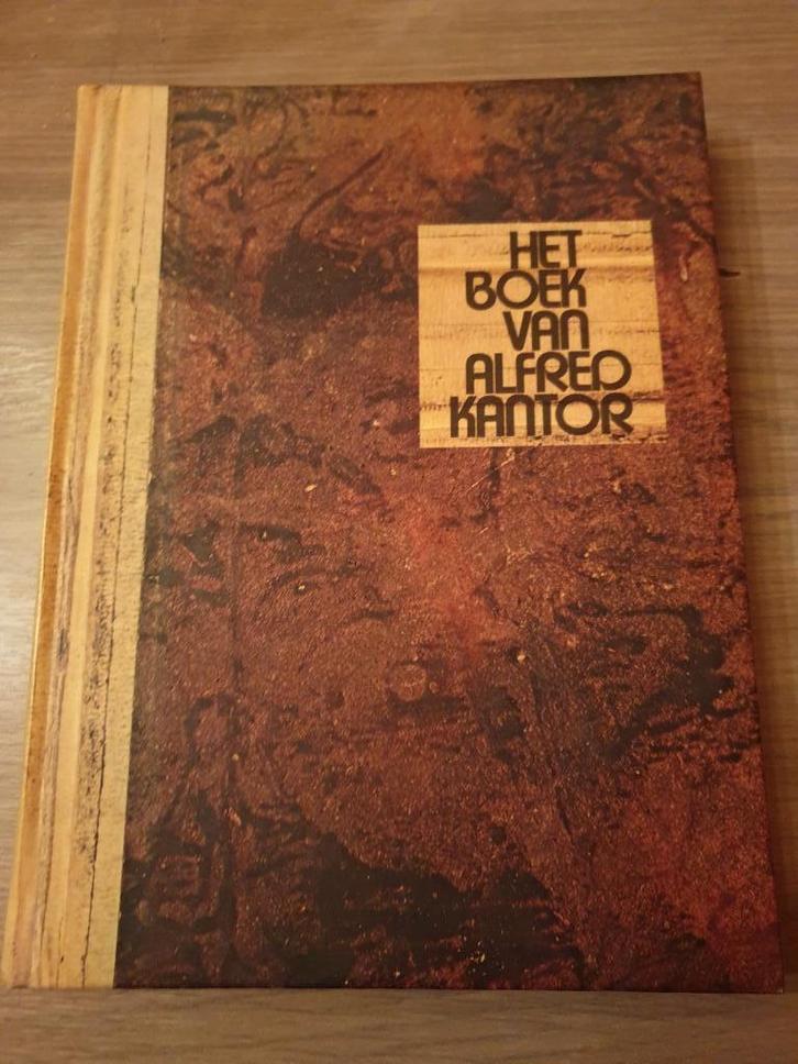 CONCENTRATIEKAMPEN AUSCHWITZ Het boek van Alfred Kantor., Boeken, Oorlog en Militair, Gelezen, Ophalen of Verzenden