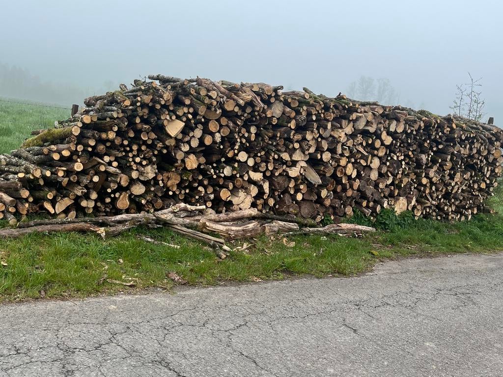 Bois de chauffage, Jardin & Terrasse, Enlèvement ou Envoi