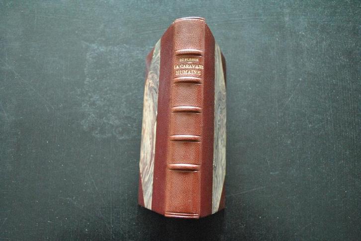 Comte DU PLESSIS Le sens de l'histoire La Caravane humaine, Livres, Histoire & Politique, Utilisé, Enlèvement ou Envoi