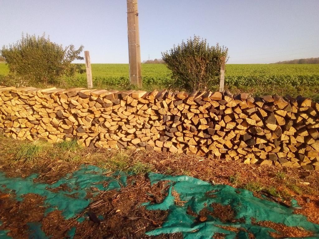 BOIS DE CHAUFFAGE SEC DE QUALITE TOUTE L'ANNEE !!!, Enlèvement, Frêne, Bûches