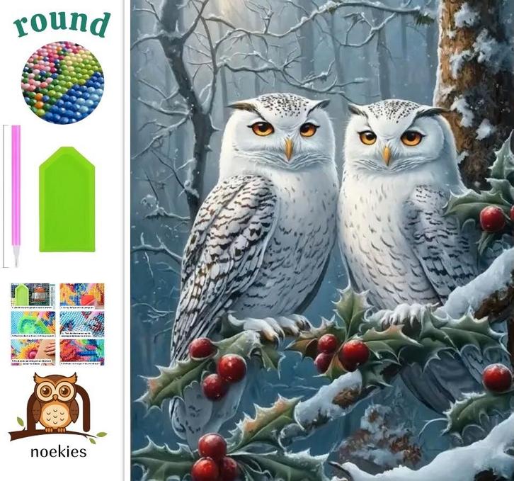 nr 230 Diamond Painting winter uilen 40x30cm (rond), Hobby en Vrije tijd, Knutselen, Nieuw, Diamond painting, Educatief, Zelfklevend