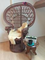 Vintage Emanuelle pauwenstoel rotan - jaren 70, Ophalen