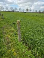 gratis betonnen weidepalen, Dieren en Toebehoren
