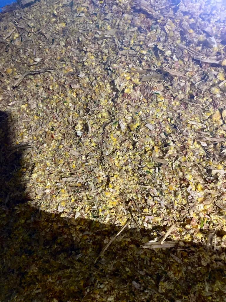 Maïs uit kuil te koop., Ophalen