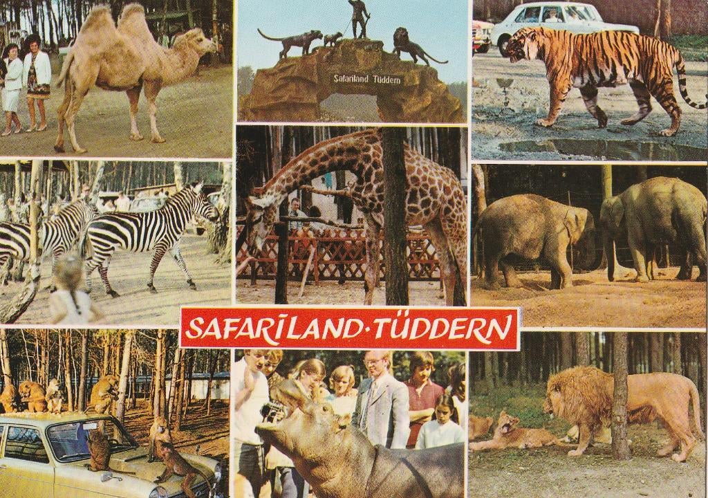 DIEREN  IN  SAFARILAND  TUDDERN, Collections, Cartes postales | Animaux, Envoi, Non affranchie, Autres