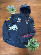 Veste de pluie Red Bull Racing, Puma x Red Bull Racing, Comme neuf, Bleu, Taille 46 (S) ou plus petite