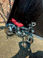 Dax skyteam 50cc: 1e eigenaar met 5000km!! 2008 - B- klasse, Fietsen en Brommers, Brommers | Honda, Ophalen of Verzenden