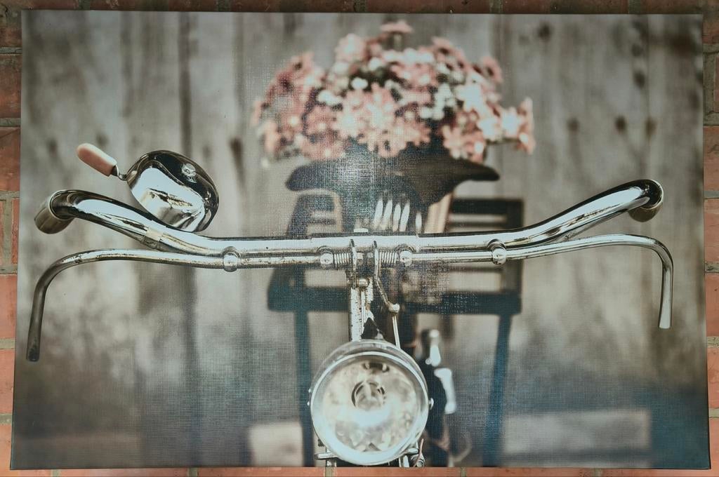 Canvas met fiets en bloemen!! Moet weg!!, Ophalen