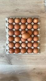 Verse vrije-uitloop hoeve-eieren, Dieren en Toebehoren, Pluimvee