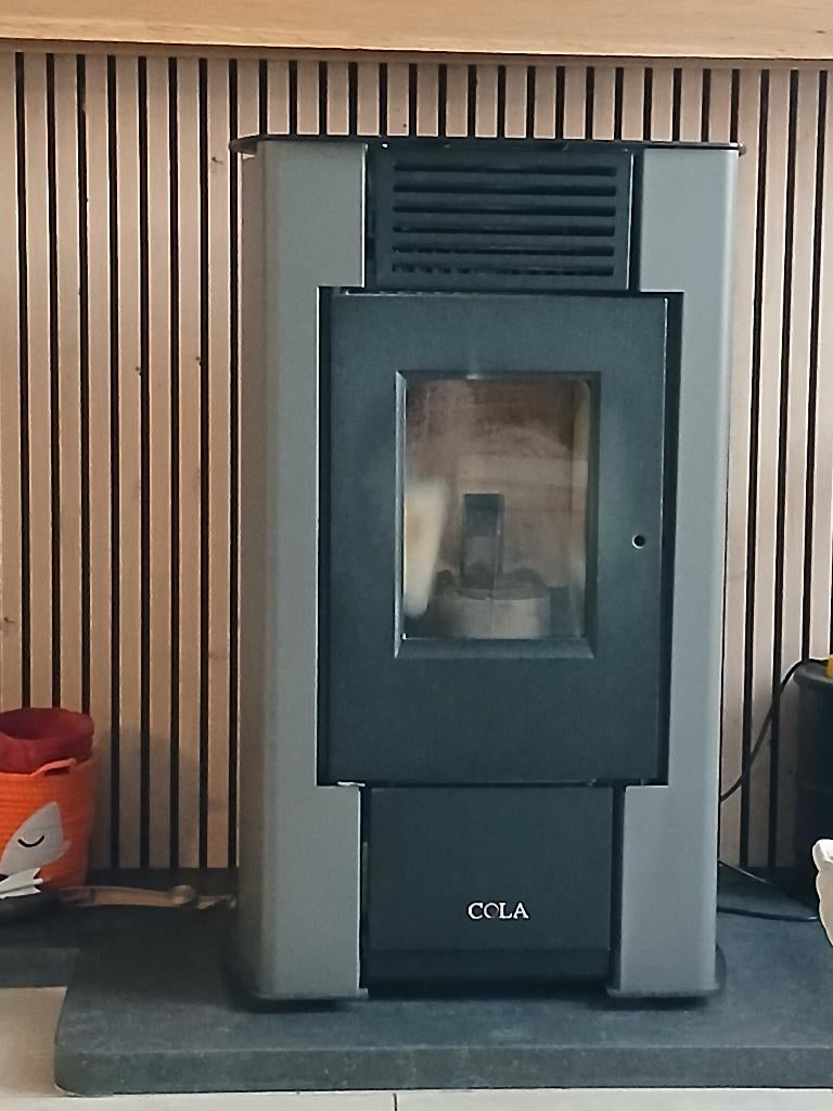 Poele a pellet, Maison & Meubles, Poêles, Enlèvement, Utilisé, Bois, Poêle à granulés