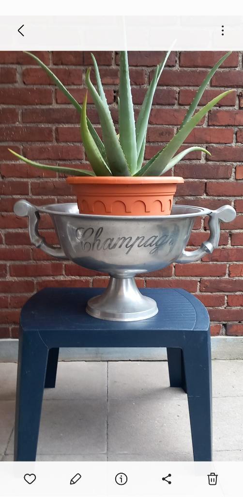 Zware Vintage Champagneschaal of Champagnekoeler op voet, Huis en Inrichting, Woonaccessoires | Wijnrekken, Gebruikt, Minder dan 50 cm