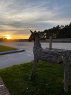 Stalling / stallen te huur op professionele accommodatie