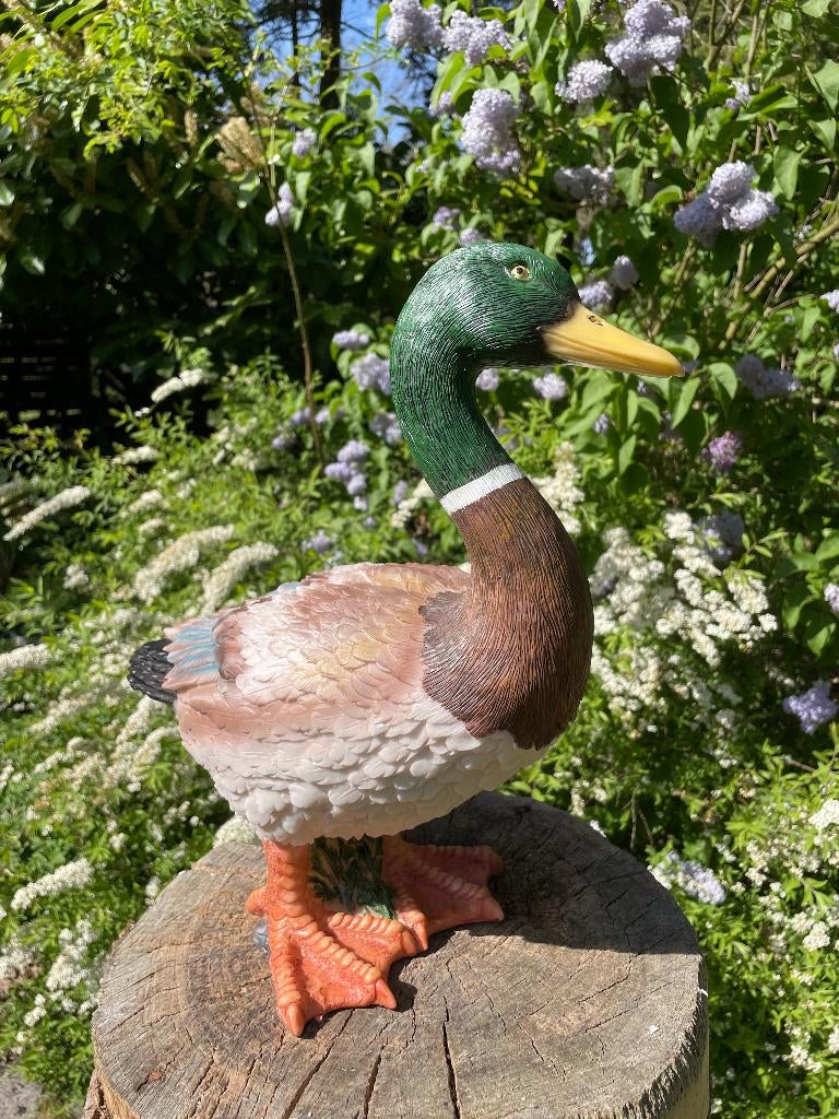 Beeld Eend, tuin, zwembad, vijver, boerderij 40cm, Ophalen, Nieuw, Kunststof, Dierenbeeld