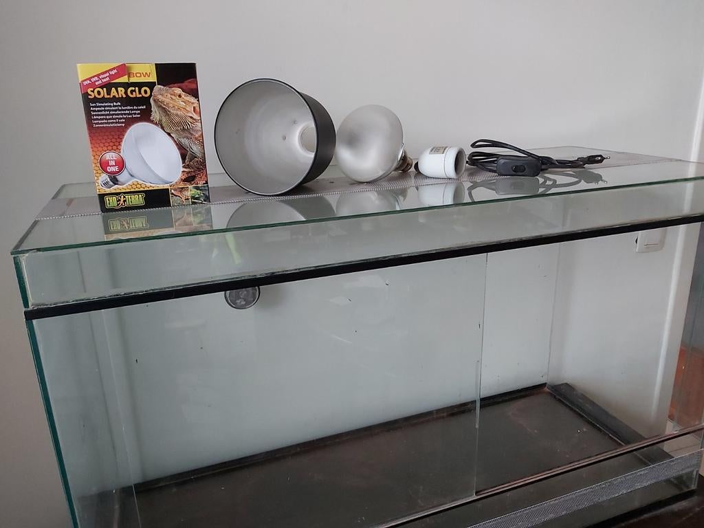 Terrarium, Enlèvement