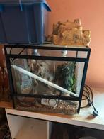 Decoratie en 2 terrariums, Dieren en Toebehoren, Ophalen, Gebruikt