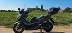 Honda Forza 125cc, Particulier