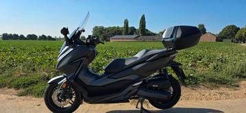 Honda Forza 125cc  beschikbaar voor biedingen