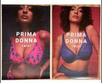 Affiche lingerie, Ophalen of Verzenden, Deurposter of groter, Rechthoekig Staand