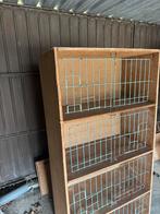 Boîtes de culture à vendre, Animaux & Accessoires, Oiseaux | Pigeons