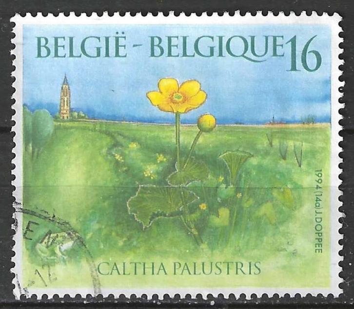 Belgie 1994 - Yvert/OBP 2572 - Natuur - Planten (ST), Postzegels en Munten, Postzegels | Europa | België, Gestempeld, Verzenden