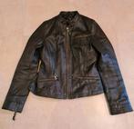 Leren dames jas, bruin maat medium te koop in Balen, Kleding | Dames, Ophalen of Verzenden, Zo goed als nieuw, Maat 38/40 (M)