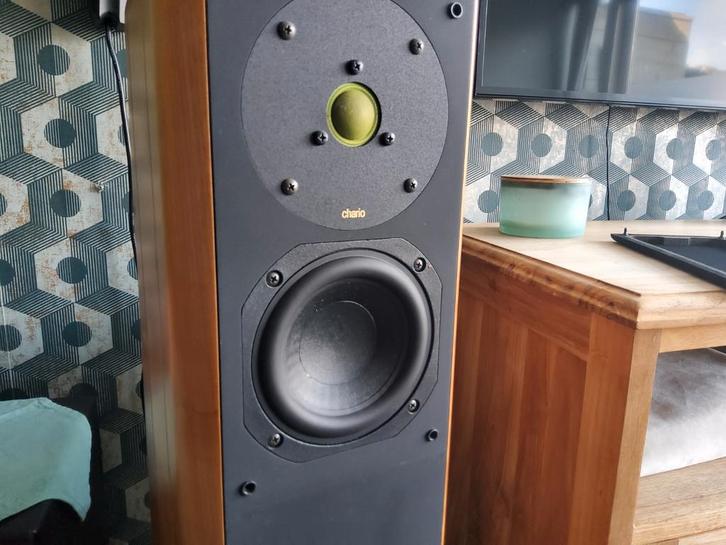 Chario Constellation Cygnus MKI | Leaf Tweeter High End, Audio, Tv en Foto, Luidsprekerboxen, Zo goed als nieuw, Ophalen of Verzenden