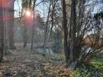 bos te koop, Zutendaal, 1500 m² of meer