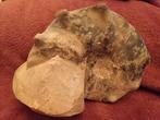 Ammonite fossile : mammites nodosoides - 5 kg, Fossile, Enlèvement ou Envoi