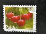 Polen 2009 - fruit - zoete kers, Ophalen of Verzenden, Polen