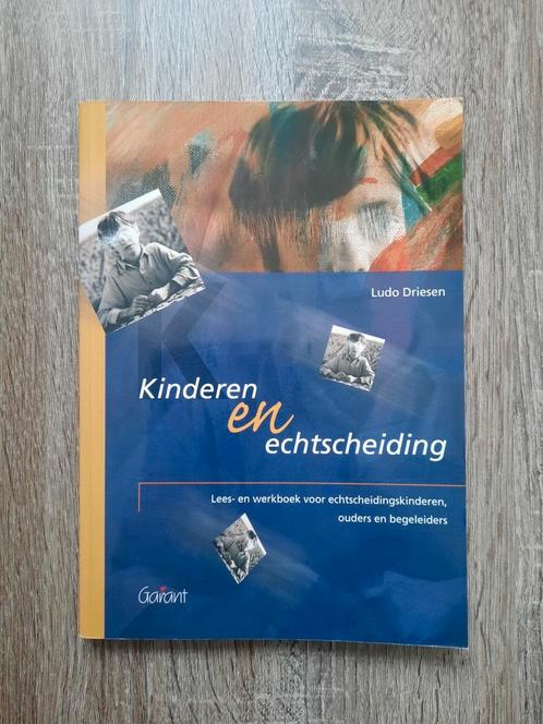 Kinderen en echtscheiding - Ludo Driesen, Boeken, Studieboeken en Cursussen, Zo goed als nieuw, Ophalen of Verzenden