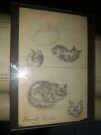 dessin chat signe henriette ronner, Antiek en Kunst, Ophalen of Verzenden
