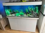 Juwel Rio 240 aquarium, Dieren en Toebehoren, Ophalen, Zo goed als nieuw