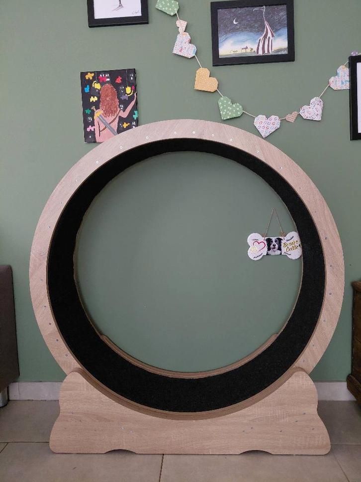 Roue a chat, Animaux & Accessoires, Autres accessoires pour animaux, Neuf, Enlèvement