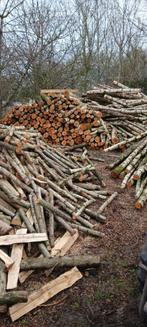 Bois de chauffage FRAIS 70 cm, Jardin & Terrasse, Bois de chauffage, Bouleau