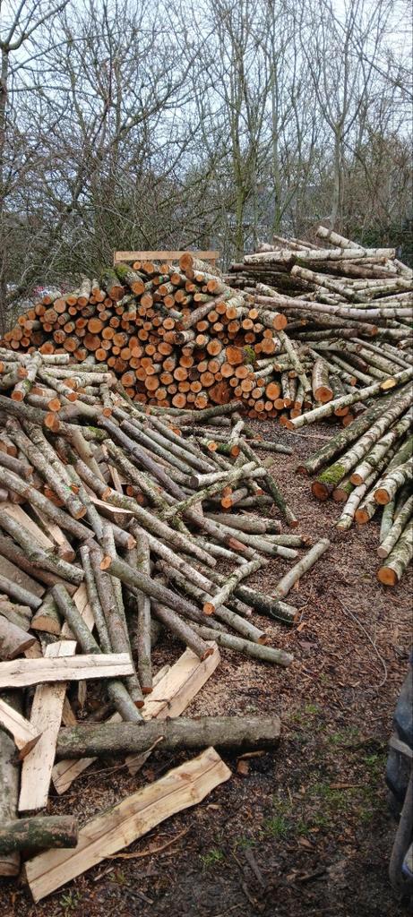 Bois de chauffage FRAIS 70 cm, Tuin en Terras, Brandhout, Berkenhout