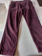 Mooie herenbroek Mr MARVIS the cords W36 L30 bordeaux, Overige maten, Zo goed als nieuw, Rood, Mr marvis