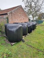 Midi bollen hooi, voordroog., Dieren en Toebehoren, Schapen, Geiten en Varkens